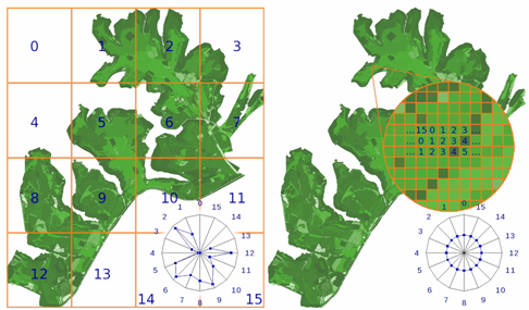 GraS Model
