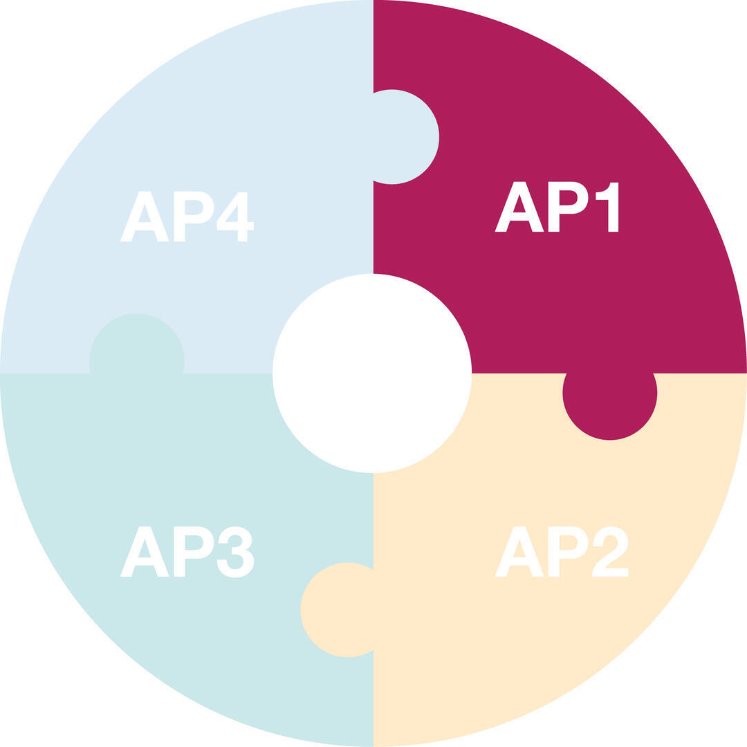Graphical representation of the first work packag