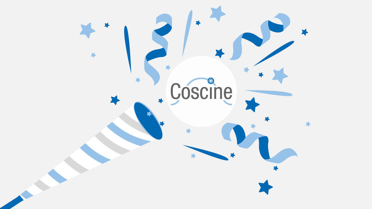 Confetti bag with the Coscine logo