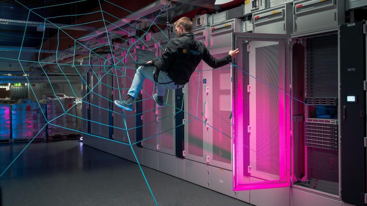 A person is hanging in a life-size (spider) web